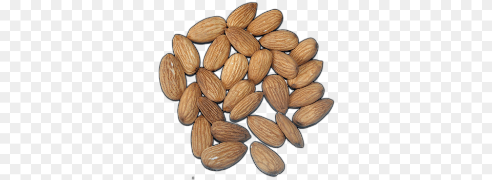 Click Here To See Almonds Album Almond, Food, Grain, Produce, Seed Png