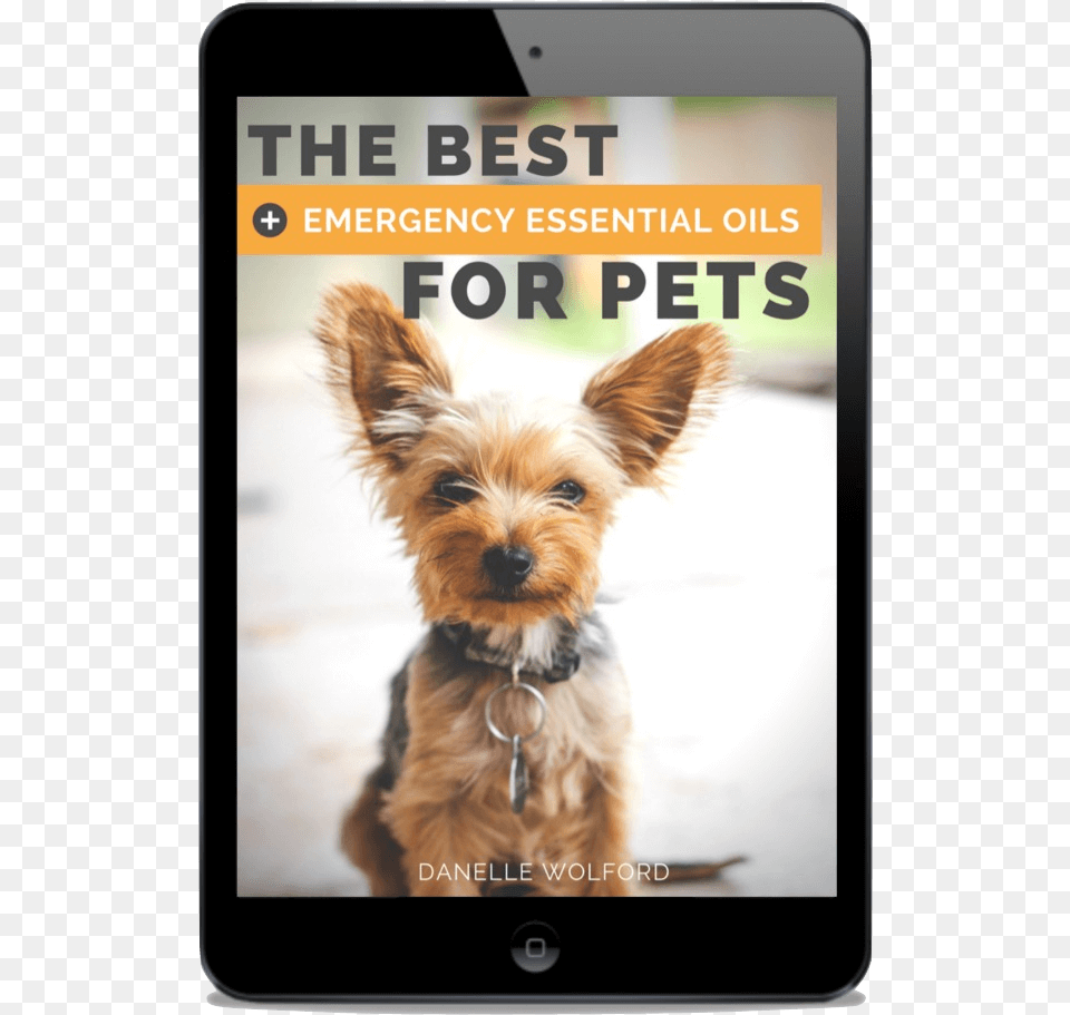 Click Here To Watch My Essential Oil, Animal, Canine, Dog, Mammal Free Png Download