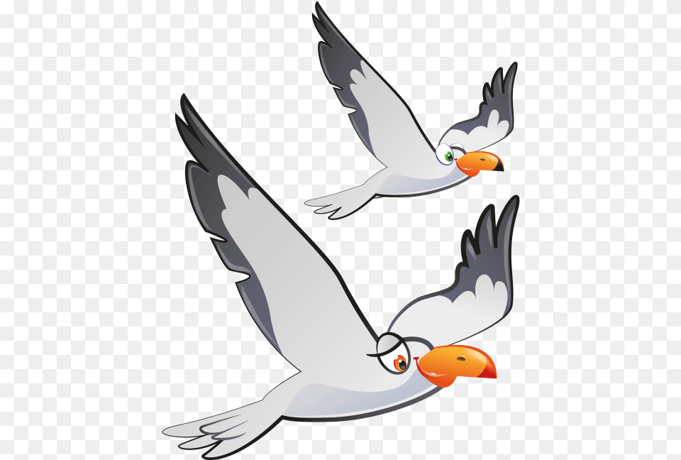 Click To Enlarge European Herring Gull, Animal, Beak, Bird, Flying Png Image
