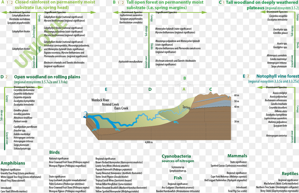 Click On Elements Of The Model Or Select From The Tabs, Cad Diagram, Diagram, Chart, Plot Png