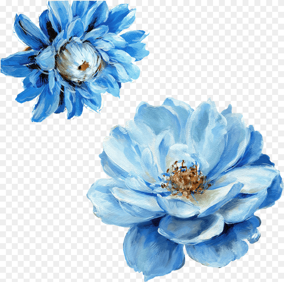 Click On Image To Enlarge Lisa Audit Art, Anemone, Anther, Dahlia, Flower Png