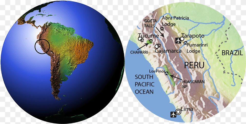 Click On Map To Enlarge Valdivian Rainforest On A Map, Chart, Plot, Astronomy, Outer Space Free Transparent Png