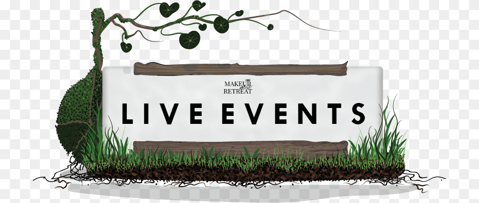 Click On The Icon To Be Taken To All Open Events Grass, Jar, Plant, Planter, Potted Plant Png