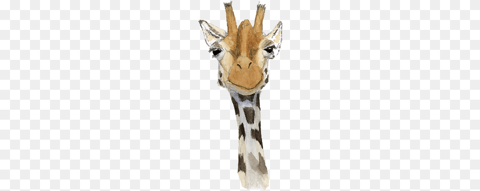 Click To Copy Marty Giraffe, Animal, Mammal, Wildlife, Dinosaur Free Png Download
