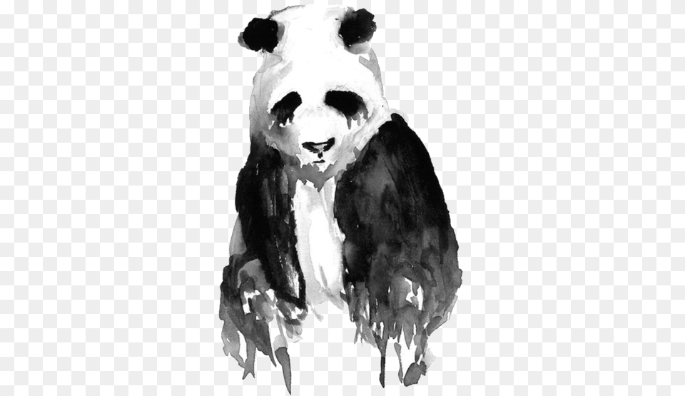 Click To Copy Panda Water Color Painting, Animal, Bear, Mammal, Wildlife Png Image
