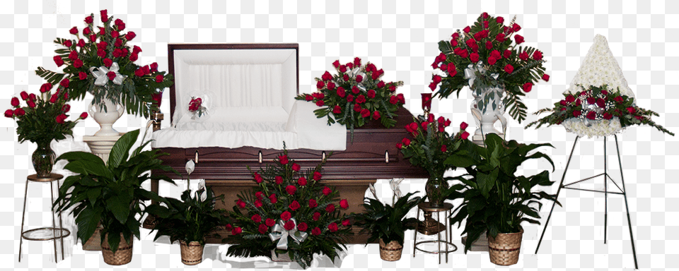 Click To Enlarge Bougainvillea, Flower, Flower Arrangement, Flower Bouquet, Plant Free Png