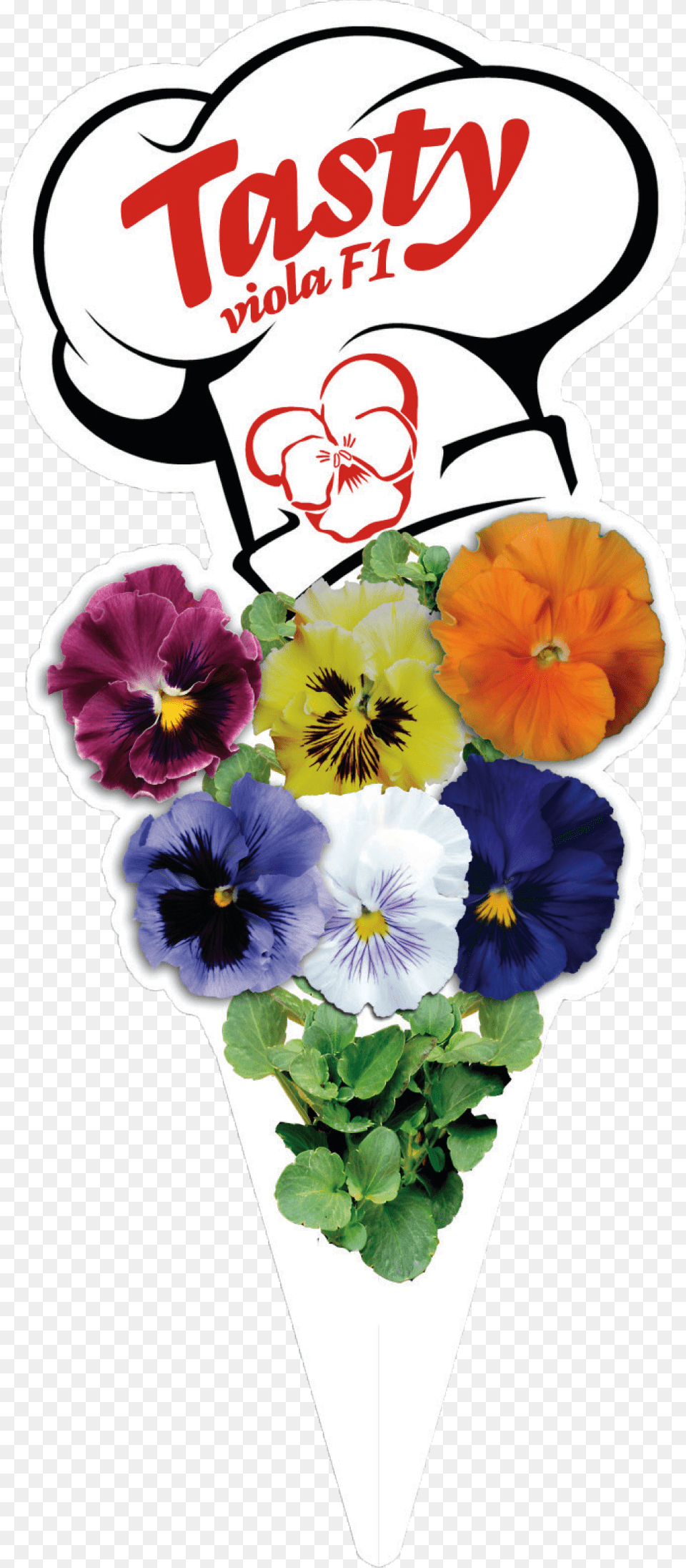 Click To Enlarge Image 5 V Copyright Marda Pansy, Flower, Plant Free Png Download