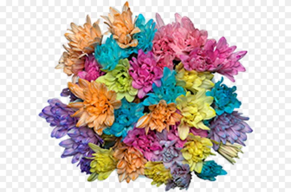 Click To Enlarge Image Paestel Tinted Daisy Atlantis Bouquet, Dahlia, Flower, Flower Arrangement, Flower Bouquet Free Png Download