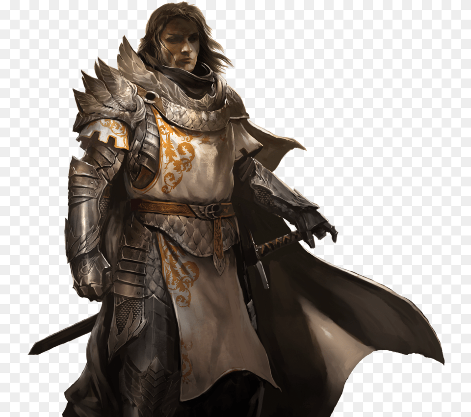 Click To Expand Guild Wars 2 Protector39s Armor, Knight, Person, Adult, Female Png