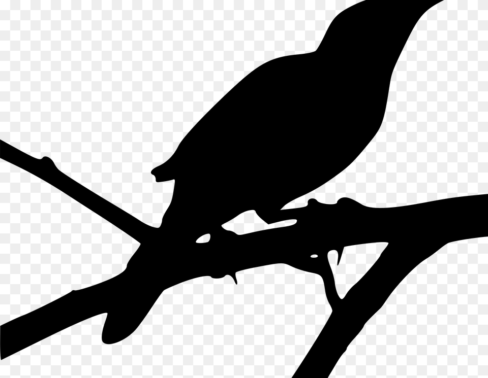 Click To Kill A Mockingbird, Gray Png