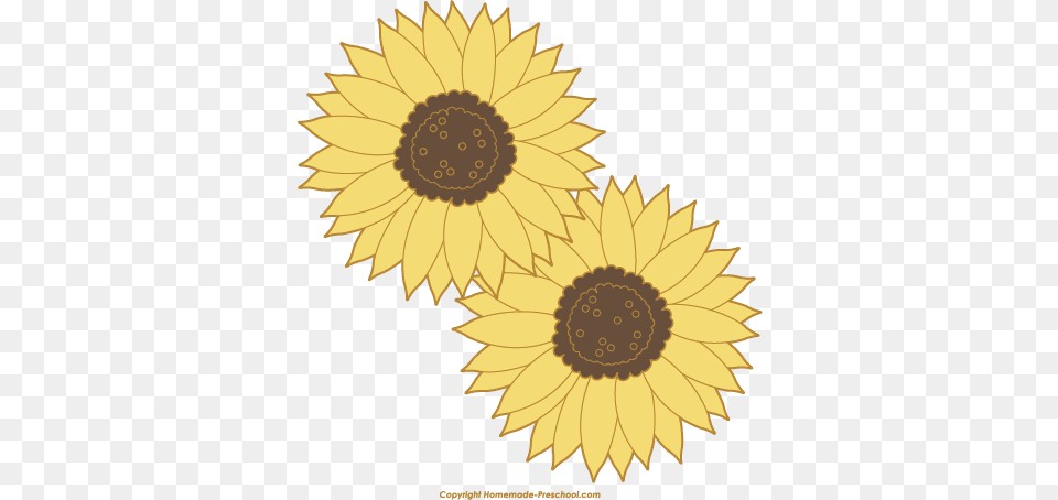 Click To Save Best Buy Logo Red, Flower, Plant, Sunflower, Daisy Png Image