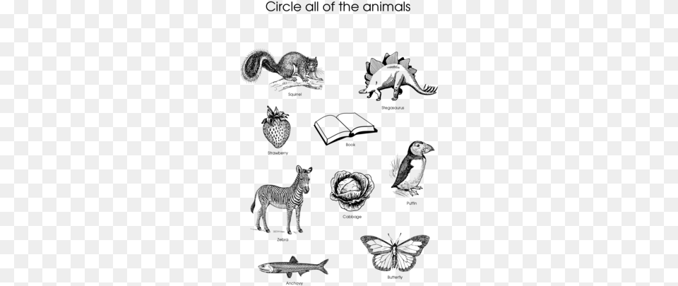 Click To See Printable Version Of Circle All Of The Dinosaur Sketch Book Elite Journal, Gray Free Png