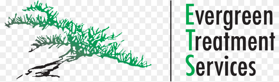 Client Configuration, Vegetation, Tree, Green, Moss Free Transparent Png