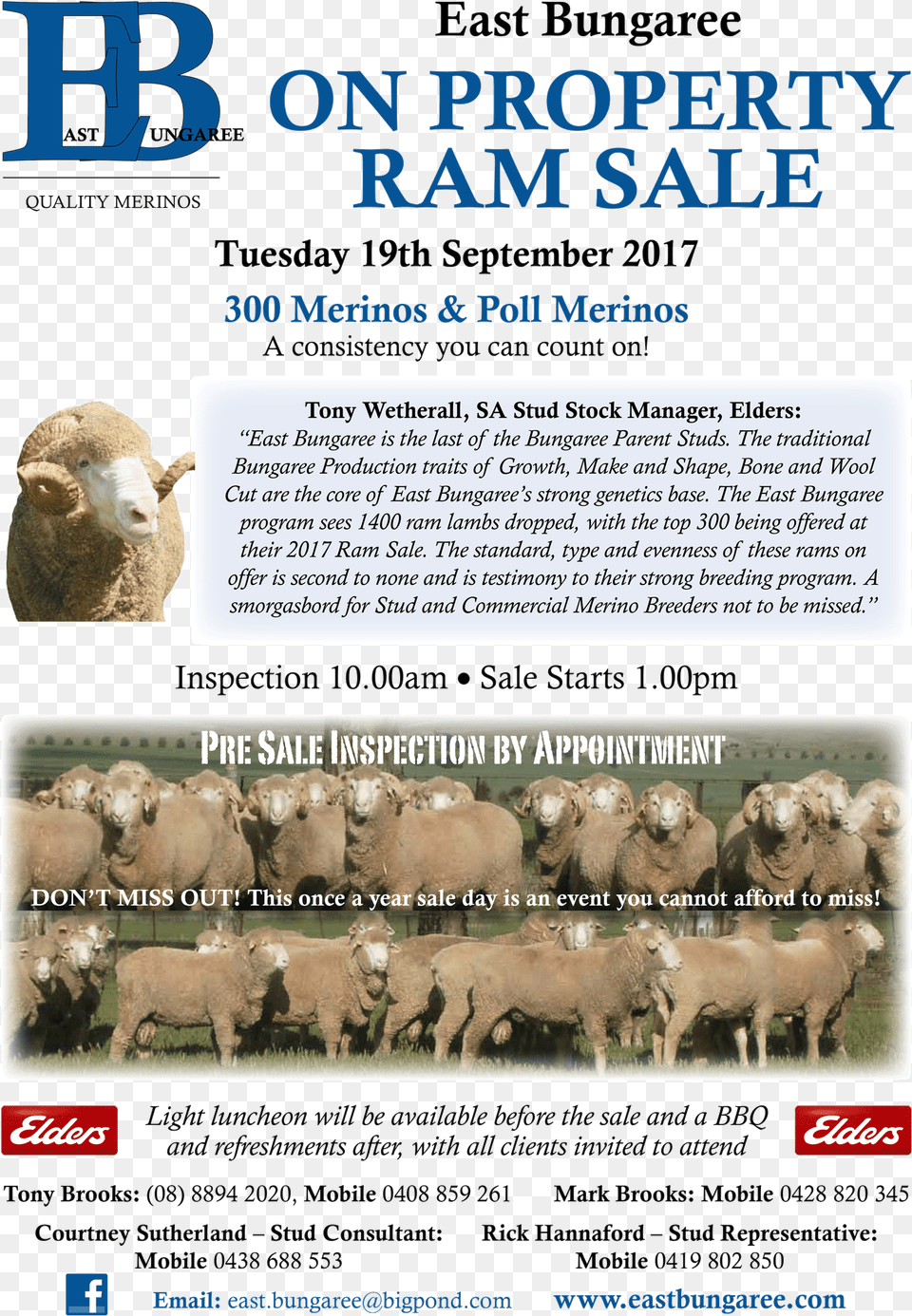 Client Letter Herd, Advertisement, Poster, Animal, Livestock Png