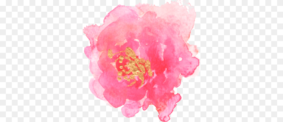 Client Reviews Millimetre, Flower, Petal, Plant, Rose Free Transparent Png