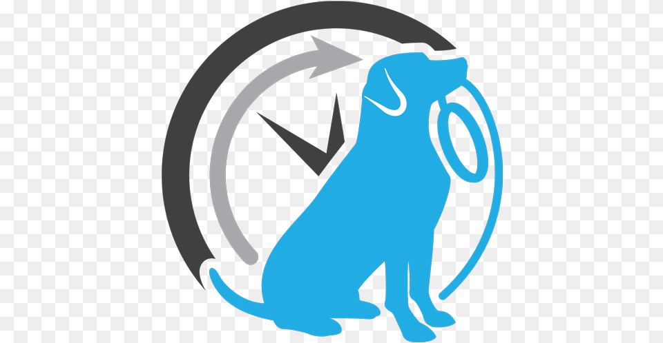 Client Spotlight Whiskers At Home Pet Service Icon, Animal, Bear, Mammal, Wildlife Png