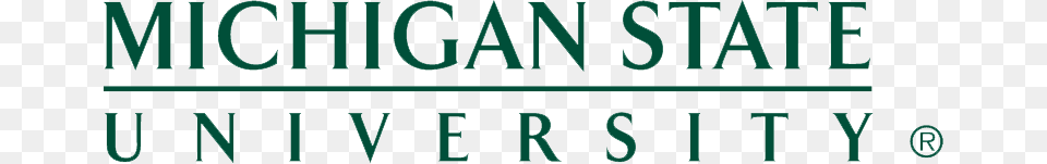 Client Success Story Michigan State University Ngdata, Text Free Transparent Png