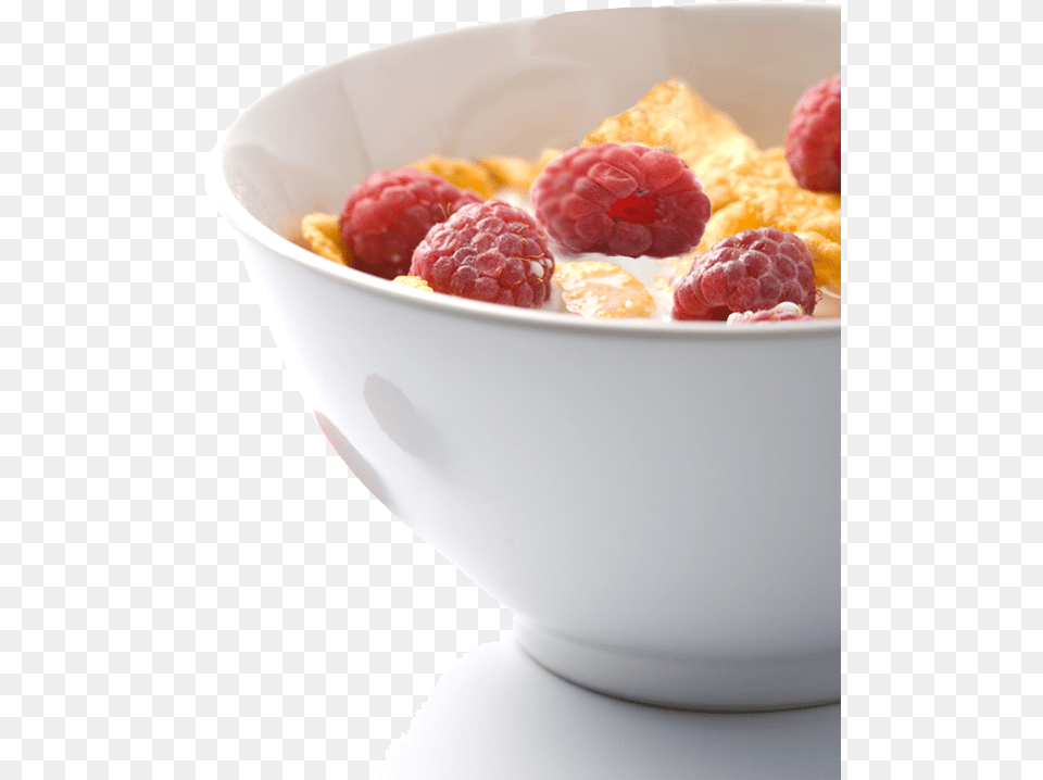 Climate Change, Berry, Bowl, Food, Fruit Png