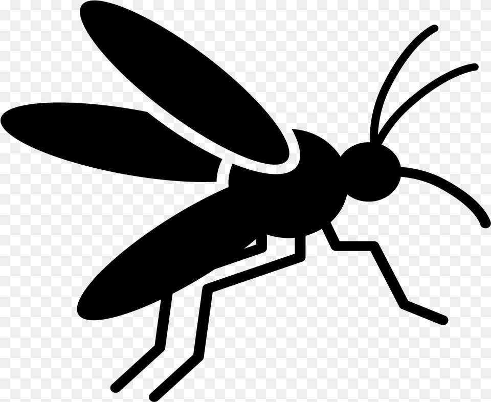 Climate Change Mosquito Borne Diseases Vermont Vector Borne Diseases Icon, Gray Png Image