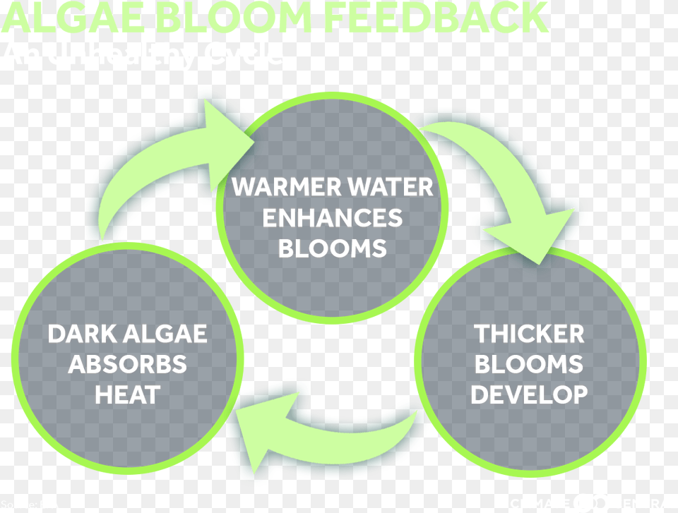 Climate Matters Diagram Png