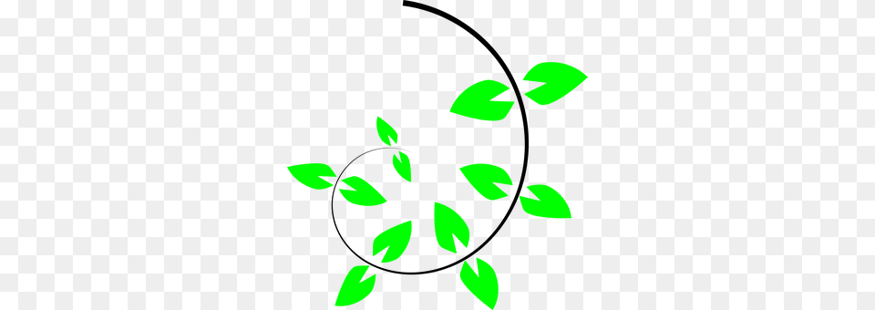 Climbing Plant Green, Leaf, Herbal, Herbs Free Transparent Png
