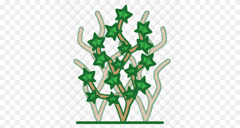 Climbing Plant Ivy Plants Succulent Trees Vine Icon, Green, Pattern Free Png