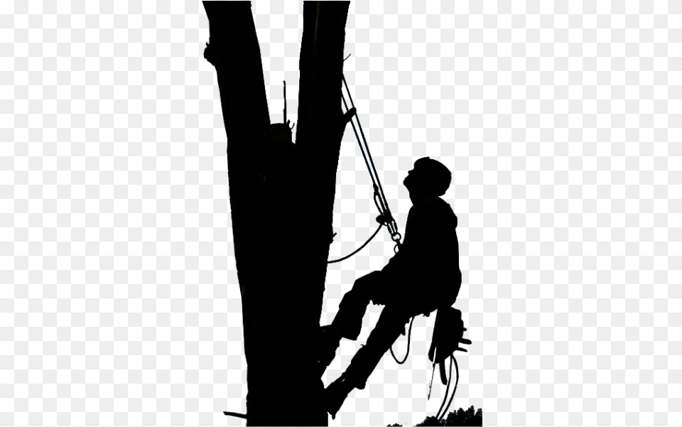 Climbing Vector Silhouette Black And White Tree Trimming, Adult, Male, Man, Person Free Png