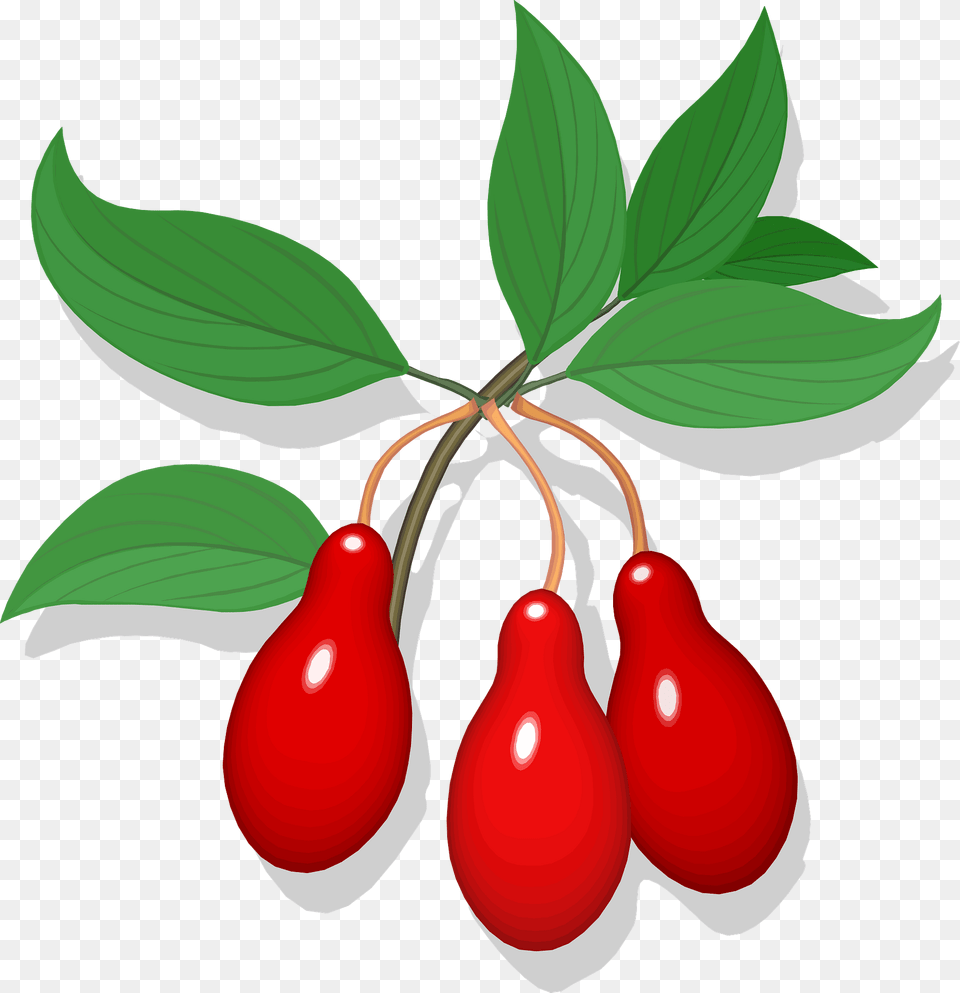 Cling Fruit Clipart, Food, Plant, Produce, Leaf Free Png Download