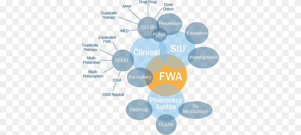 Clinical Diagram Free Transparent Png