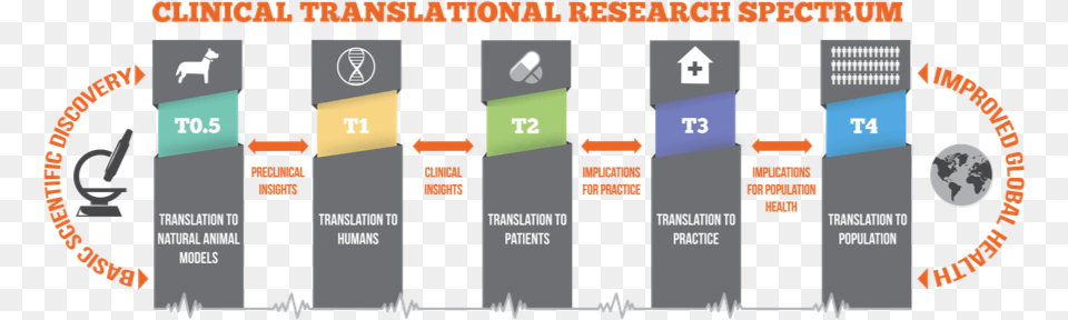 Clinical Translational Research Spectrum, Text Png