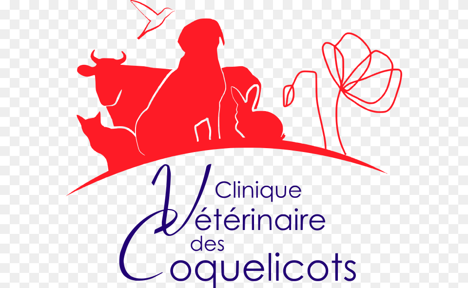 Clinique Vtrinaire Des Coquelicots Veterinary Physician, Baby, Person, Text Free Png