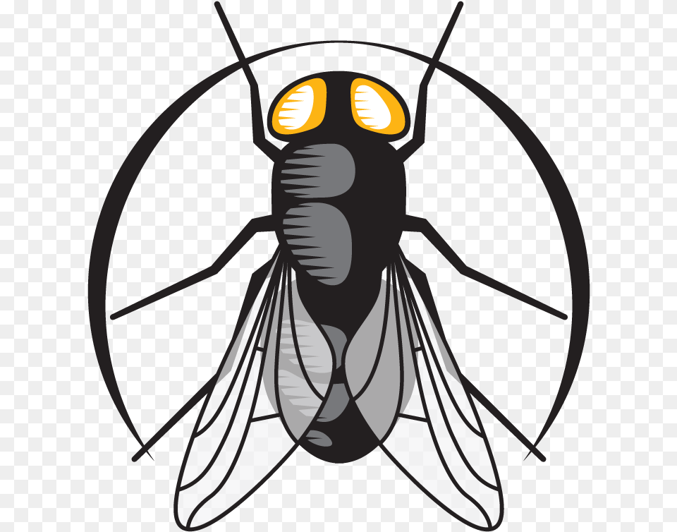Clip Art, Animal, Bee, Insect, Invertebrate Png