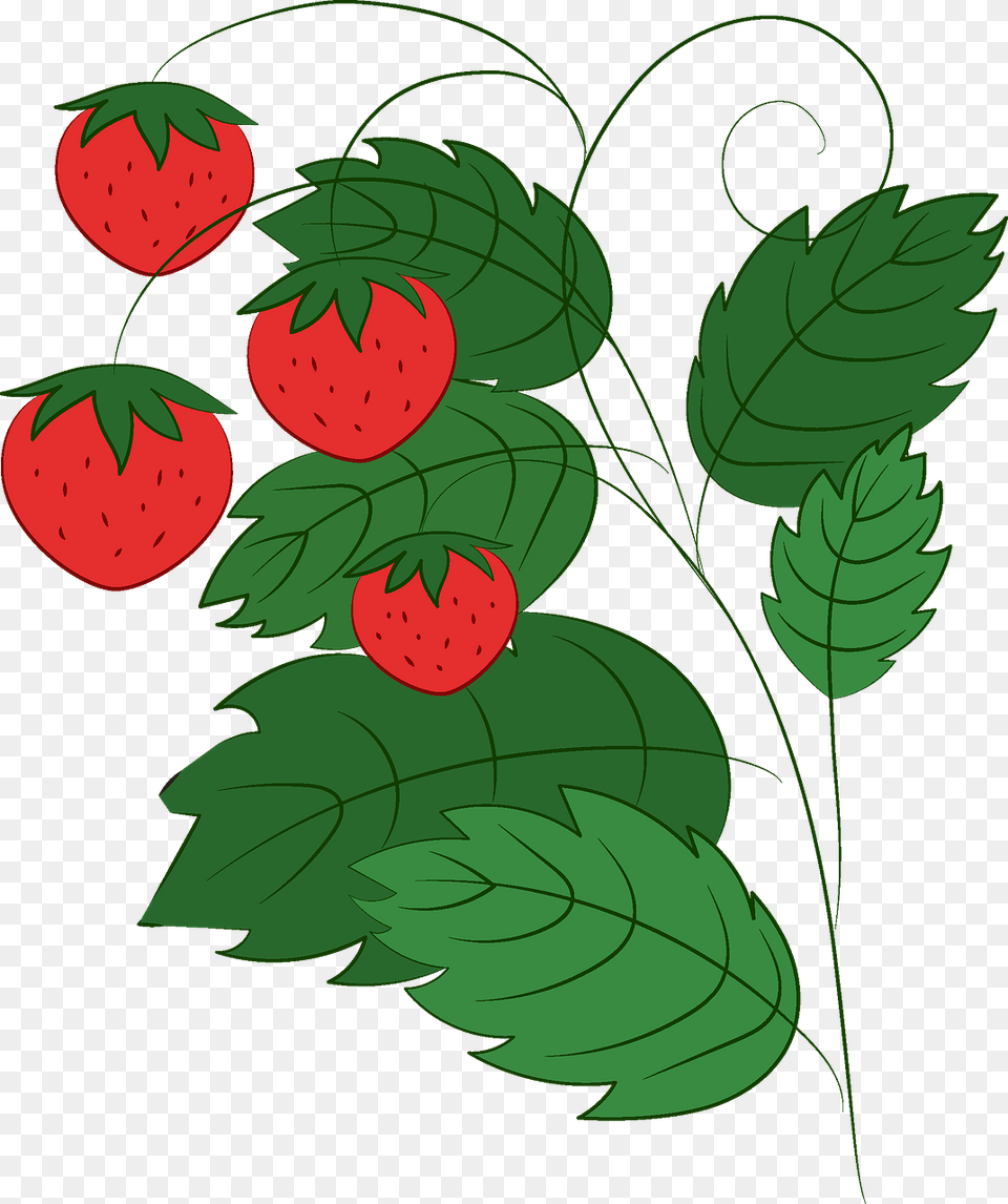 Clip Art, Berry, Food, Fruit, Plant Free Png Download