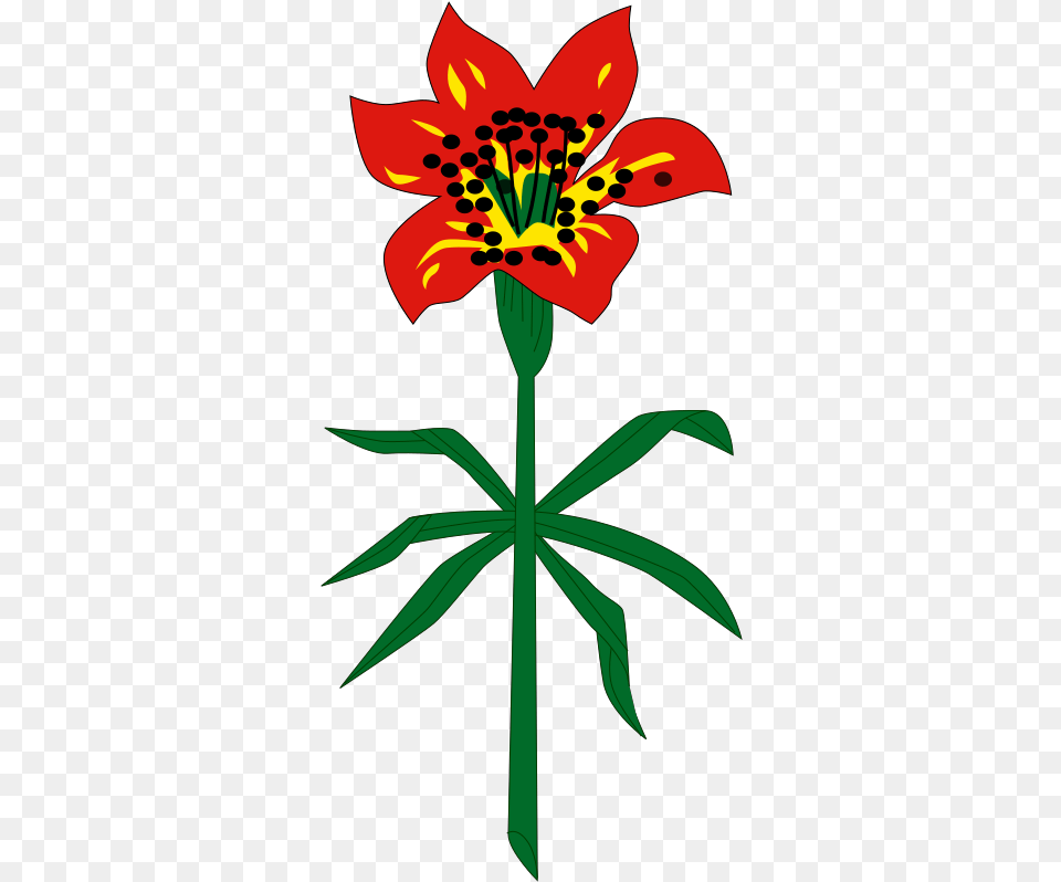 Clip Art, Flower, Plant, Anther, Lily Png