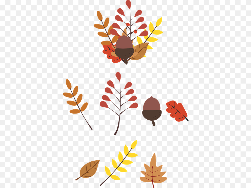 Clip Art, Leaf, Plant, Pattern, Tree Png Image