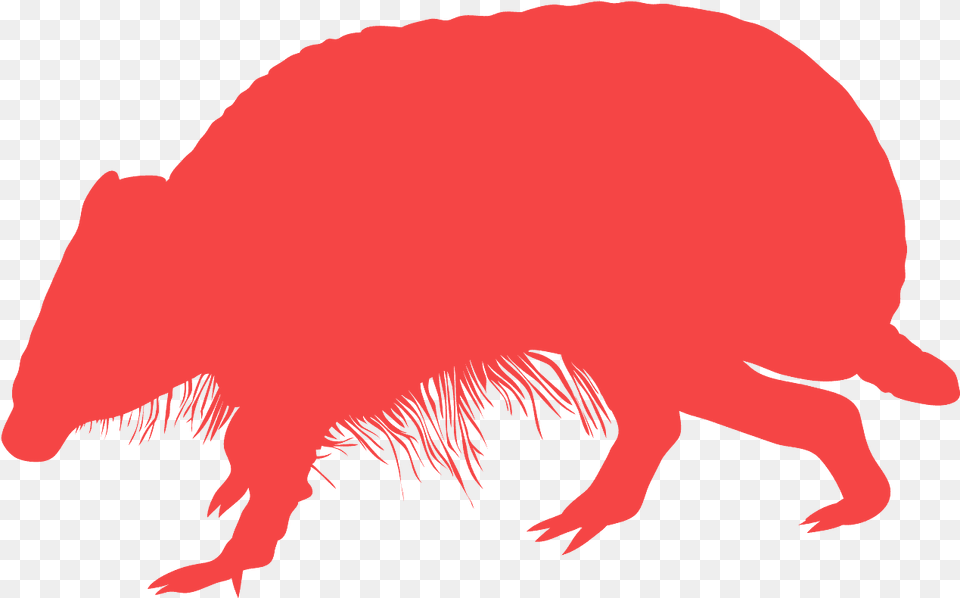 Clip Art, Animal, Mammal, Wildlife, Baby Png Image