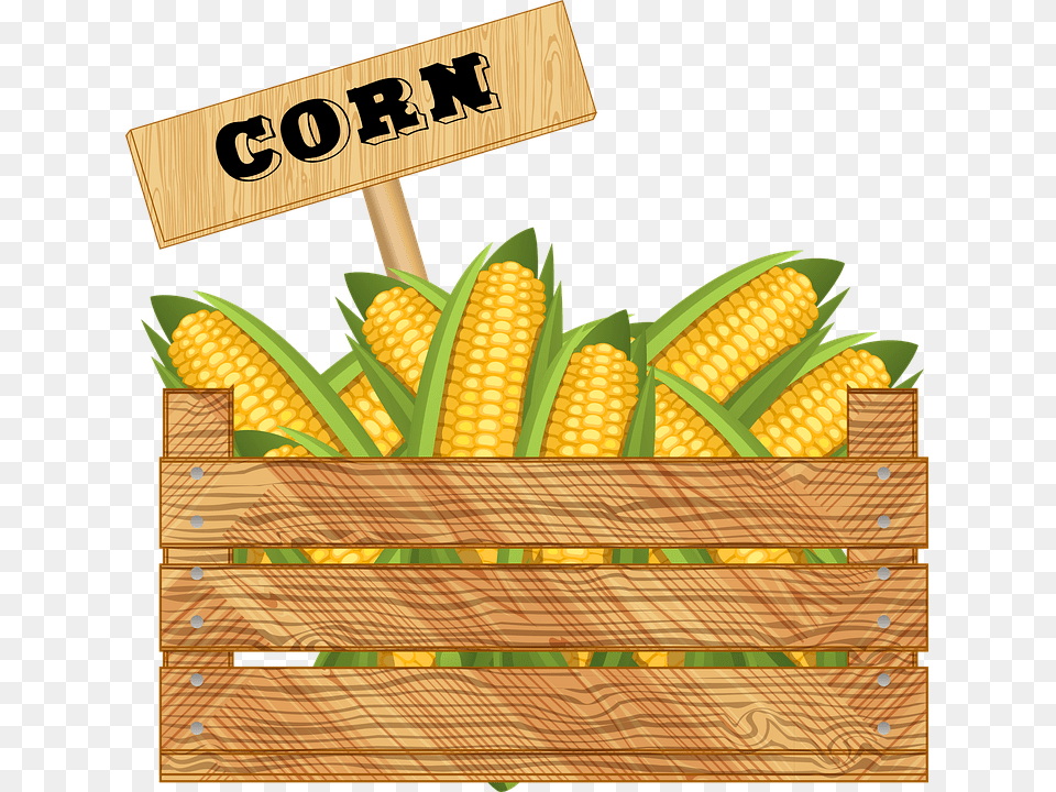 Clip Art, Corn, Food, Grain, Plant Free Png