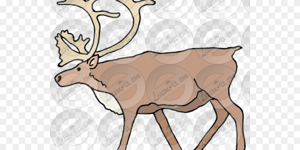 Clip Art, Animal, Deer, Wildlife, Mammal Png