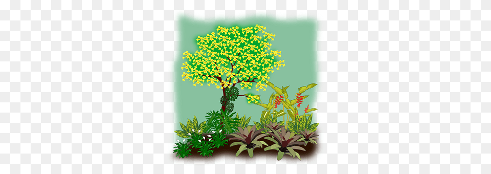 Clip Art Vegetation, Plant, Herbal, Herbs Png Image