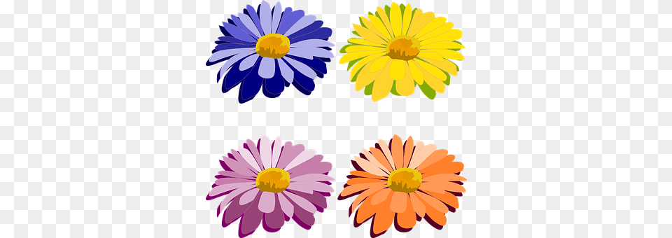 Clip Art Daisy, Flower, Petal, Plant Png