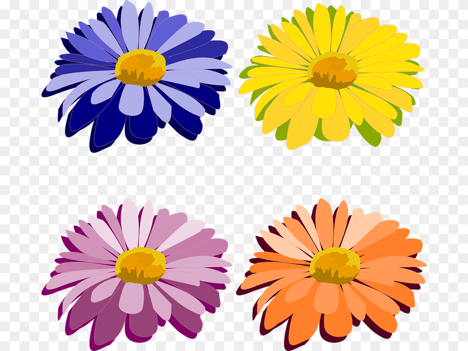 Clip Art Daisy, Flower, Petal, Plant Free Png