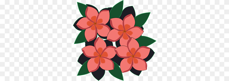 Clip Art Dahlia, Floral Design, Flower, Graphics Png Image