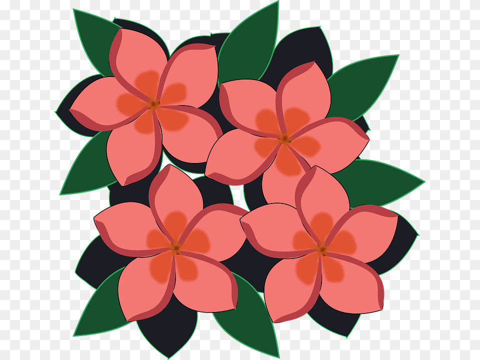 Clip Art Dahlia, Floral Design, Flower, Graphics Free Png