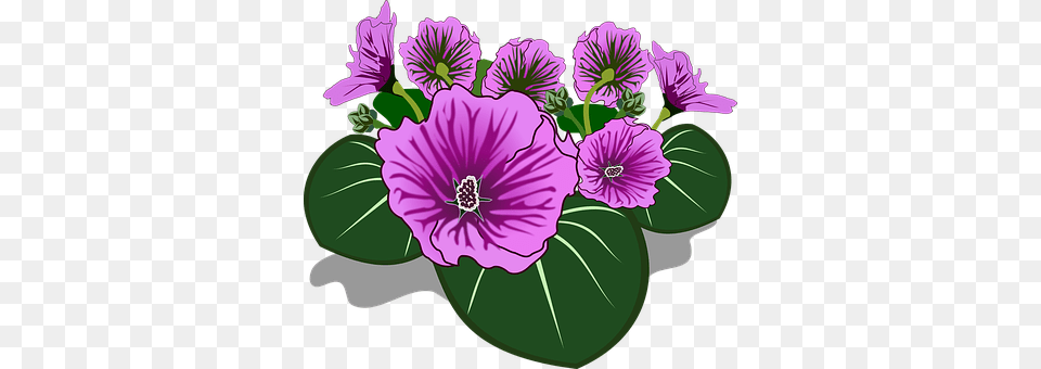 Clip Art Anther, Flower, Geranium, Plant Png Image
