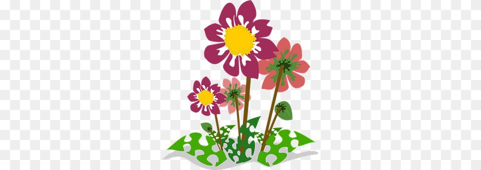 Clip Art Anemone, Flower, Daisy, Plant Png