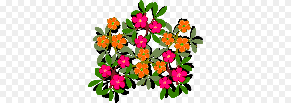 Clip Art Floral Design, Graphics, Pattern, Plant Free Transparent Png