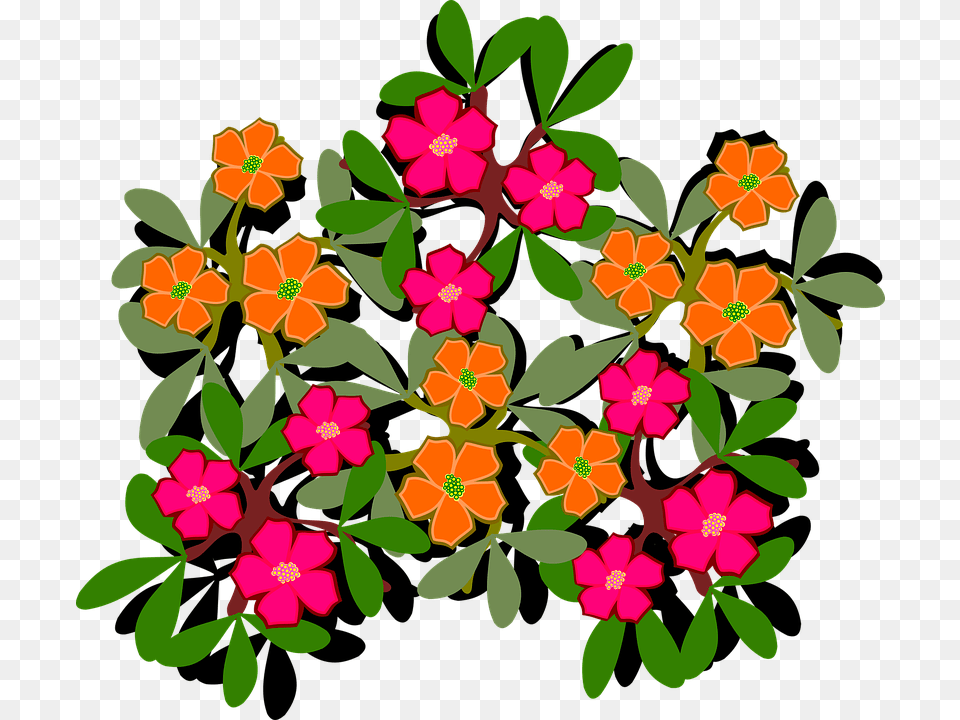 Clip Art Floral Design, Graphics, Pattern, Plant Png