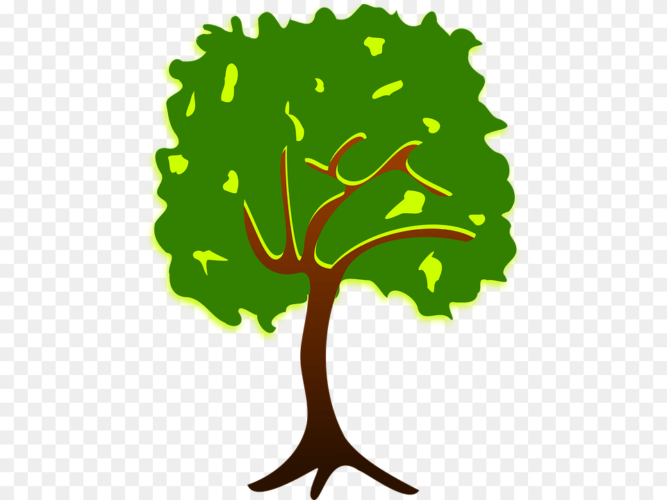 Clip Art Plant, Tree, Vegetation, Green Free Png Download