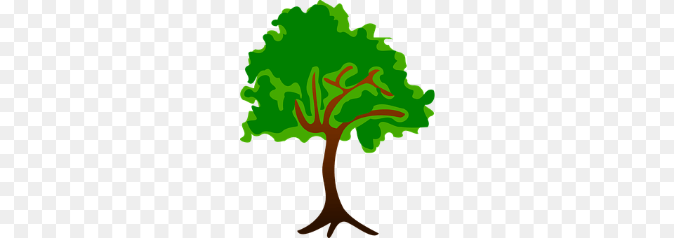 Clip Art Green, Plant, Tree, Vegetation Free Png Download
