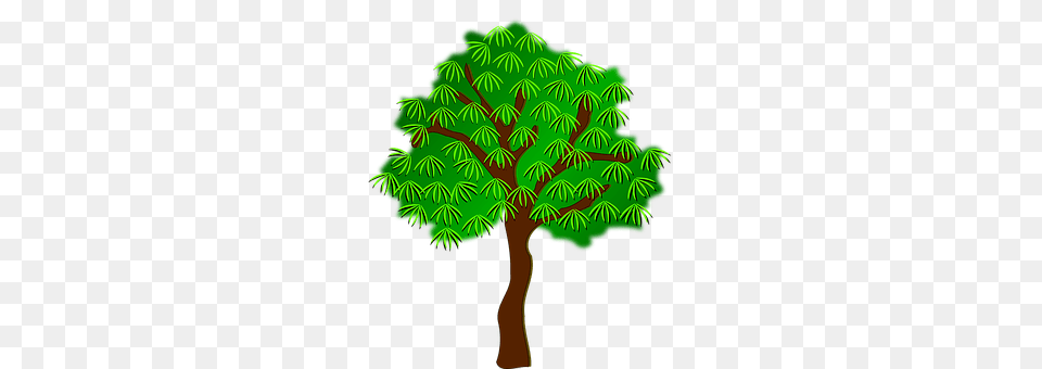 Clip Art Plant, Tree, Vegetation, Green Free Transparent Png